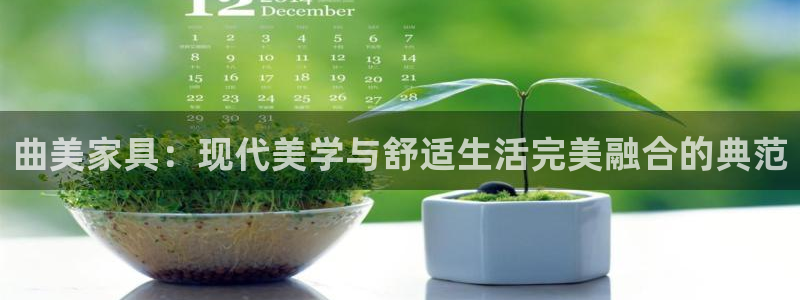 安信12是什么
