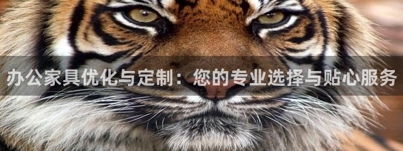 安信12账号