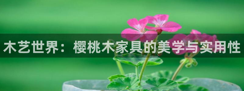 安信12靠谱吗