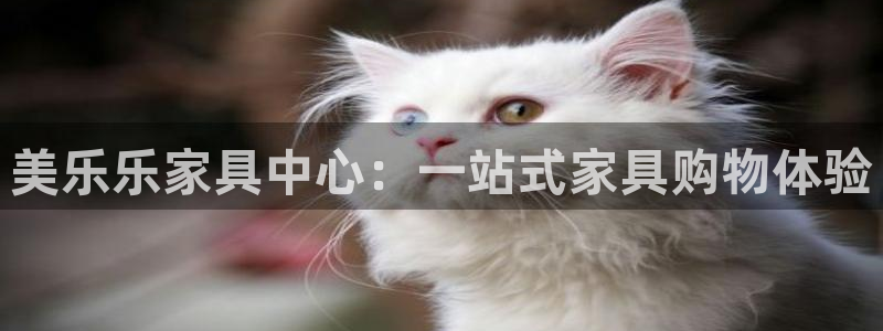 安信12下载