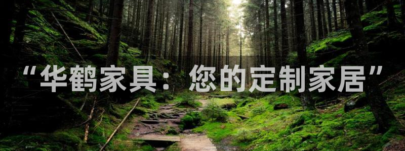 下载安信12