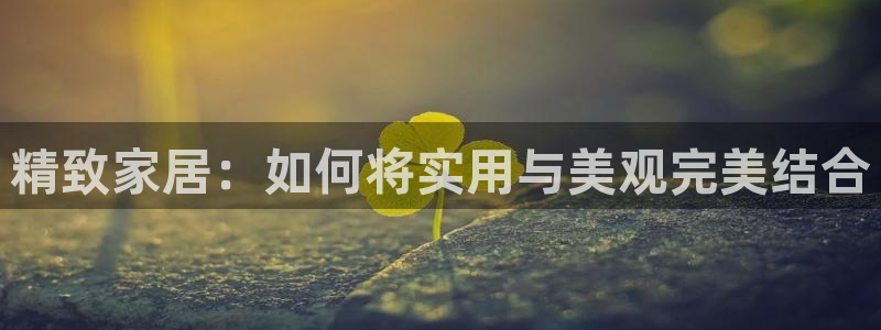 安信12是什么平台