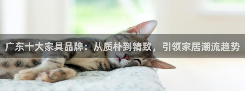 安信12是什么软件