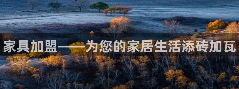 安信12app