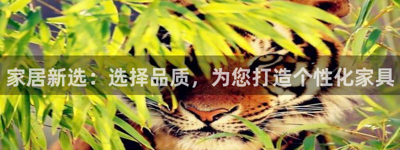 安信12平台开户