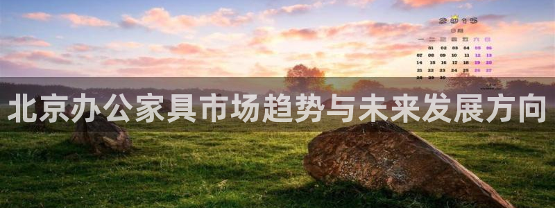 安信12主管