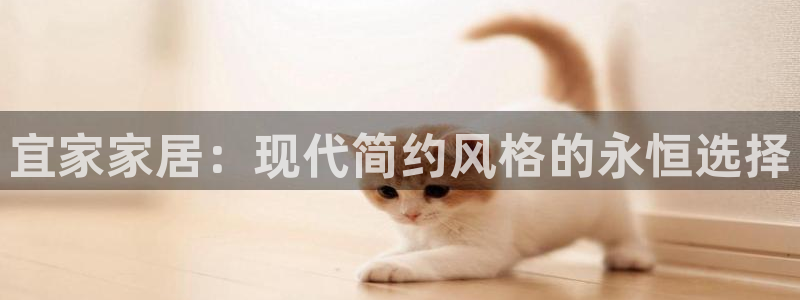 安信12代理