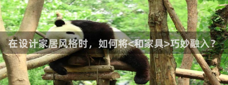 安信12是做什么