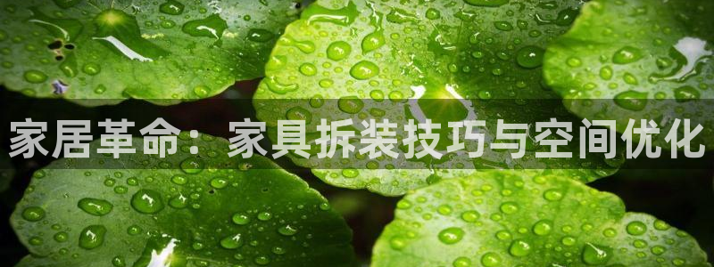 安信12靠谱吗