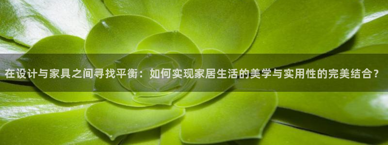 安信12彩票app下载