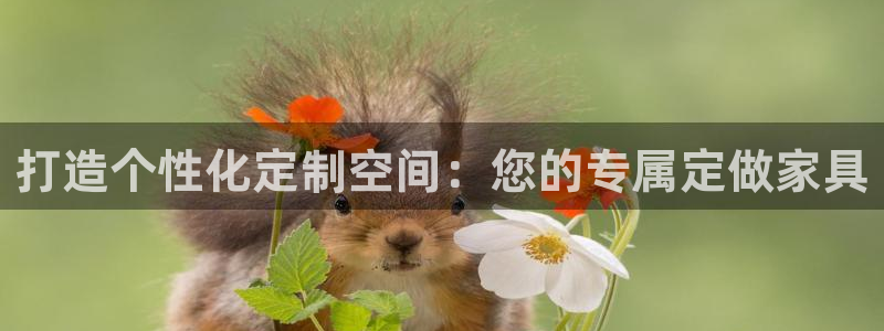 安信可f12