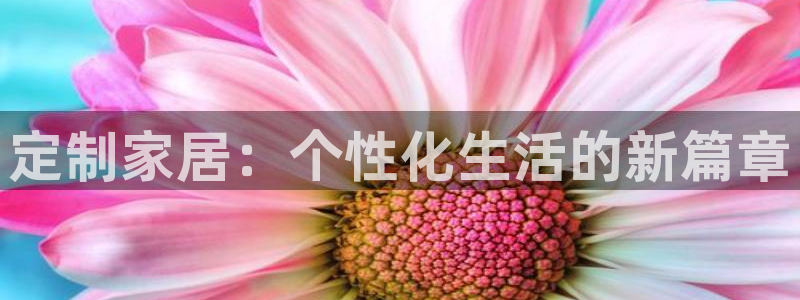 安信12怎么注册