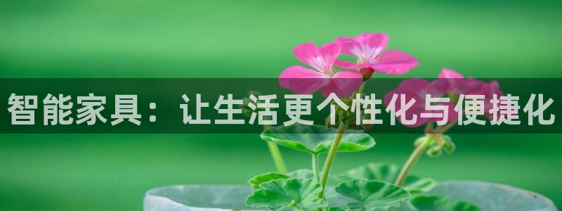 安信12注册登录平台