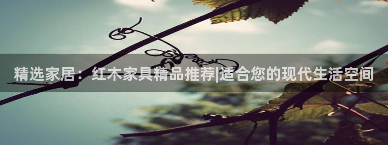 安信12级
