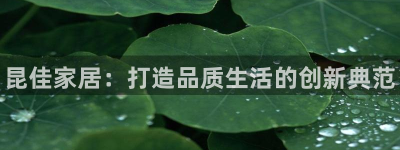 安信12彩票在线网址