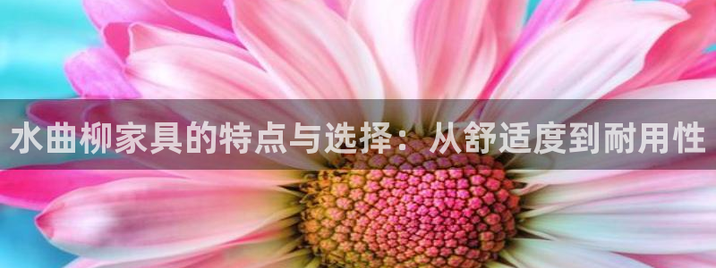 安信12娱乐招商