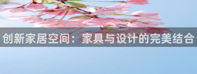 安信12主管