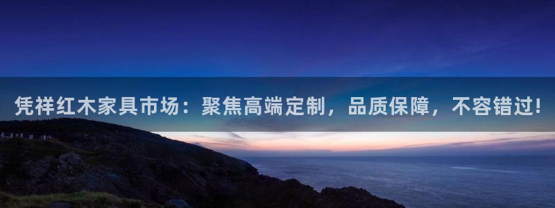 安信证券手机壳12