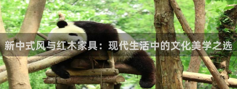 安信12靠谱吗