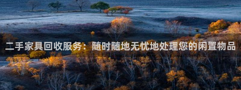 安信12软件介绍