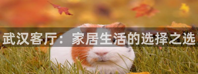 安信12是什么