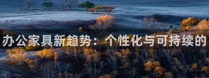 安信12专用挂机