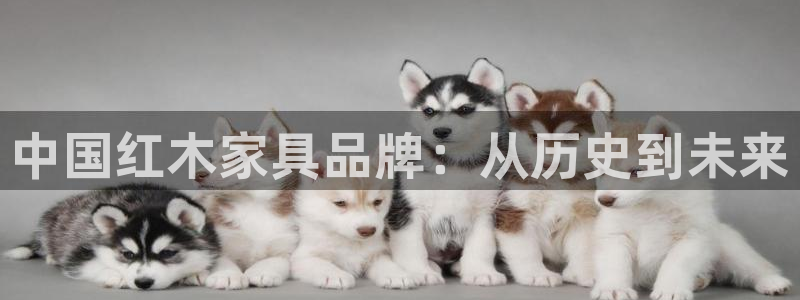 安信12彩票app下载