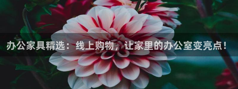 安信12级灯牌