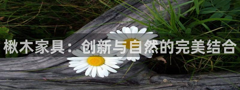 下载安信12