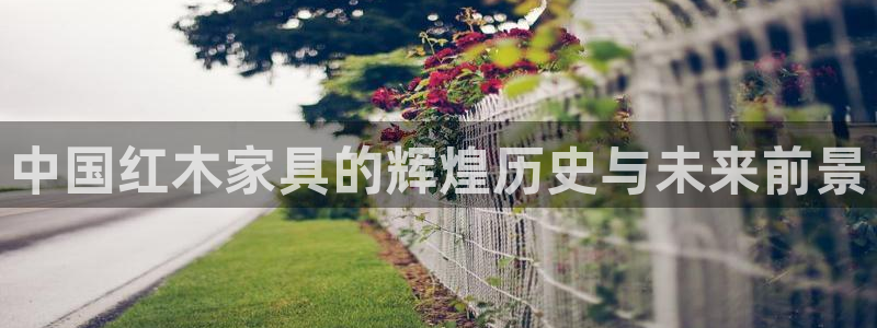 安立信T12测评