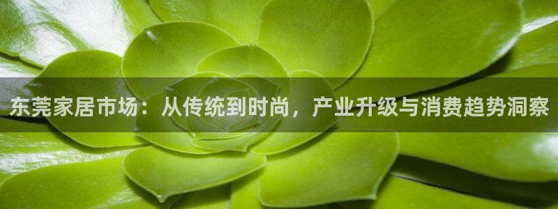 安信12真假