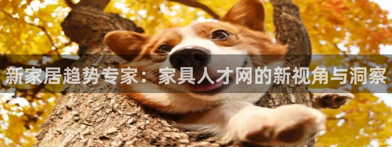 安信12平台怎么样