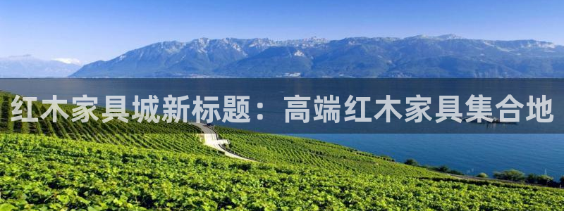 安信12平台