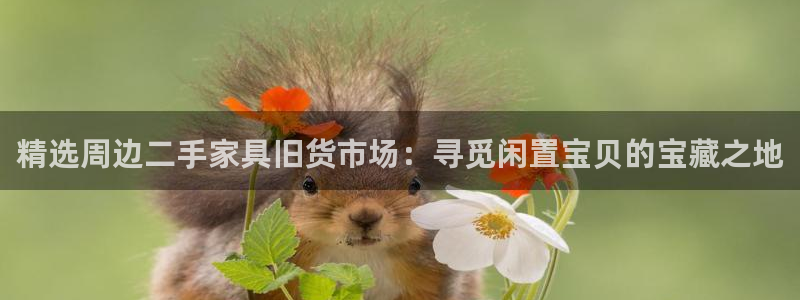 安信12正版下载