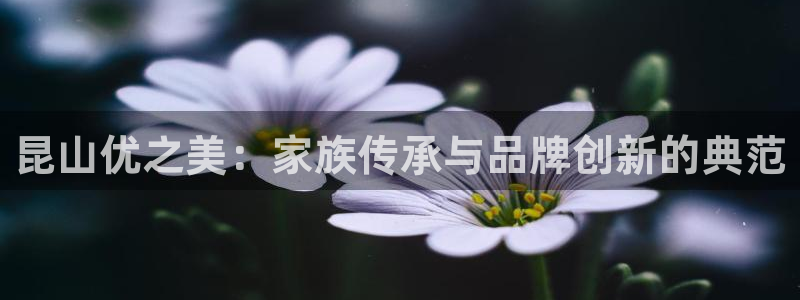 安信12