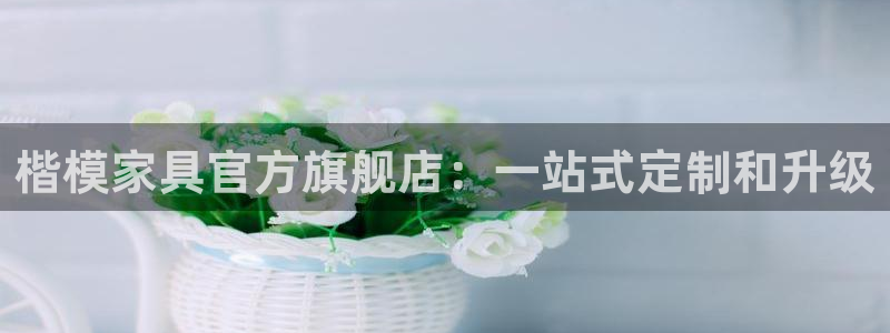 安信可esp-12