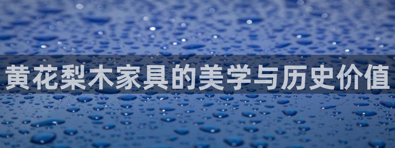 安信证券 12位