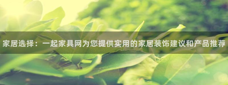 安信12是什么软件
