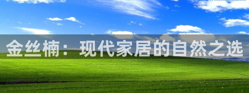 安信12级灯牌