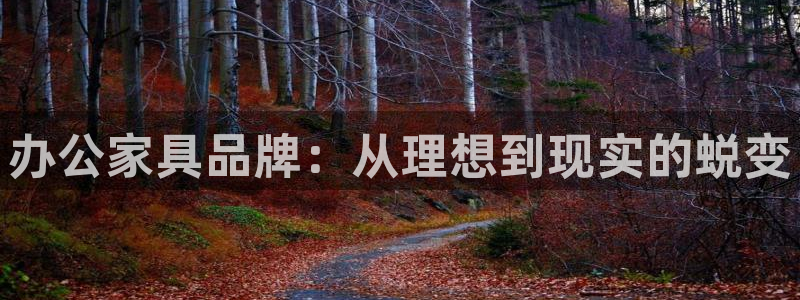 安信12开户