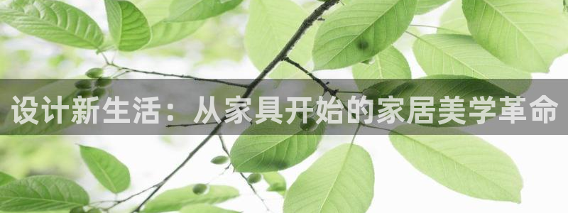 安信12彩票app下载
