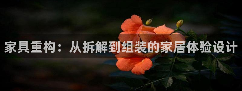 安信12娱乐主管