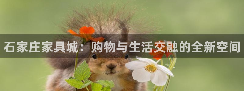 安信t12