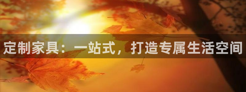 安信12
