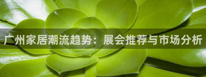 安信12是正规还是仿