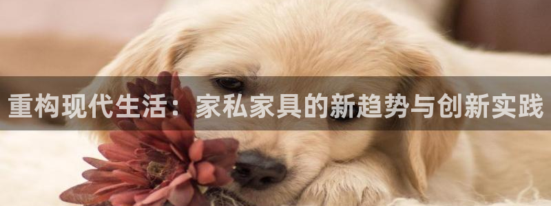 奇安信12流转场
