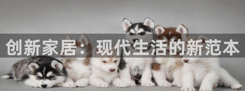 安信12娱乐招商探索空间
