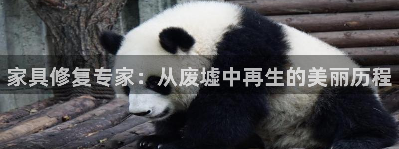 安信12月金股