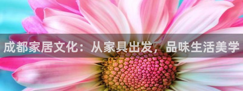 安信12注册登录：成都家居文化：从家具出发，品味生活美学