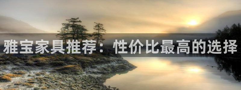 安信12级粉丝团福利：雅宝家具推荐：性价比最高的选择
